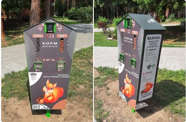 В новосибирских парках появились автоматы-кормушки для белок