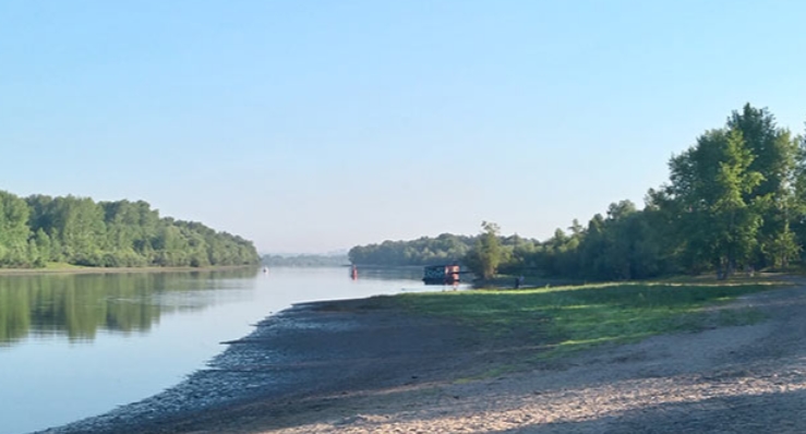 Вода в притоке Оби у СНТ &laquo;Ивушка&raquo; не соответствует нормам