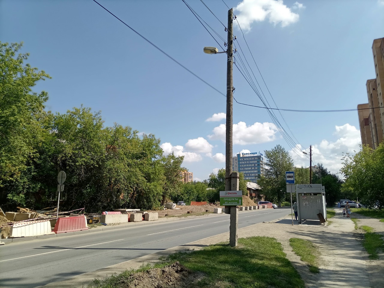 Губернатор Травников: В Академгородке за три года заменят все столбы