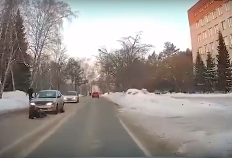 В Академгородке машина сбила мужчину на ул. Академика Ржанова