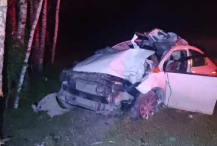 Под Новосибирском мужчина сбил лося и умер после аварии