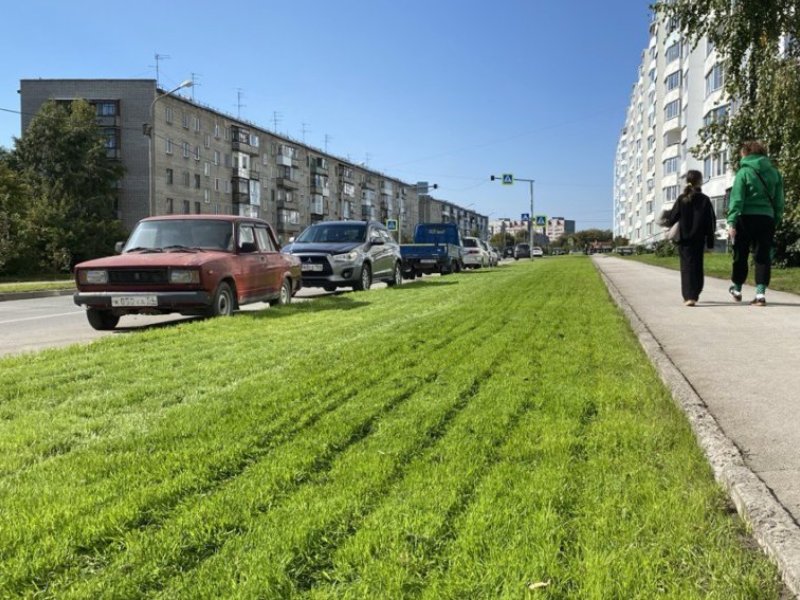 Первая часть газона на улице Динамовцев обновлена