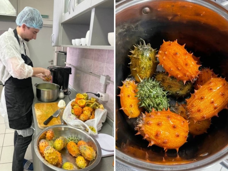 Мороженое с восковой тыквой и рогатой дыней придумали в Новосибирске