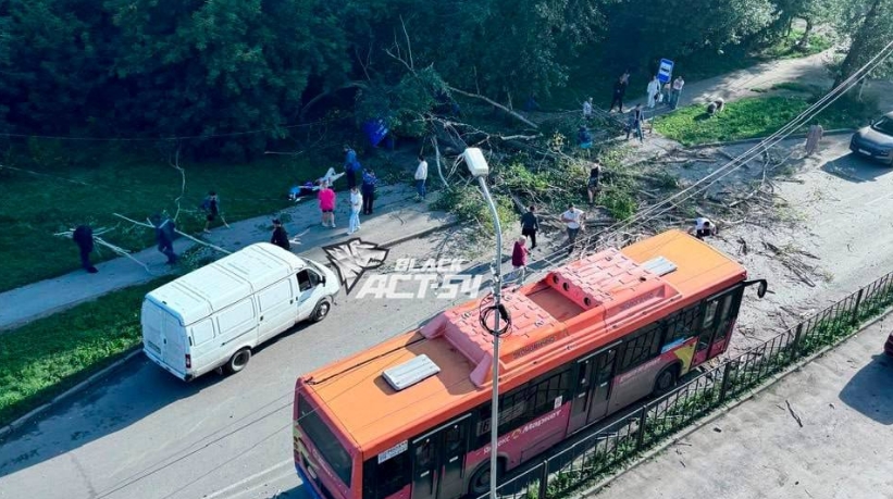 В Новосибирске упавшее дерево придавило трёх человек на остановке