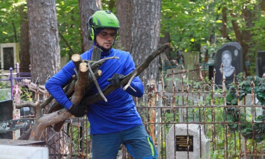 С новосибирских кладбищ убрали 585 аварийных деревьев
