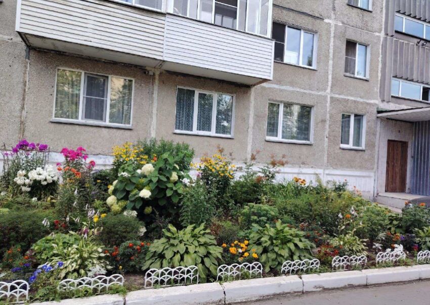 Клумбу из Советского района признали одной из лучших в Новосибирске