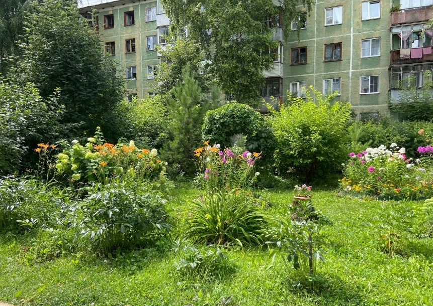Клумбу из Советского района признали одной из лучших в Новосибирске