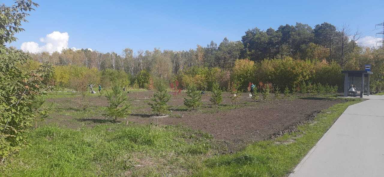 На Шлюзе озеленяют пустырь на Балтийской
