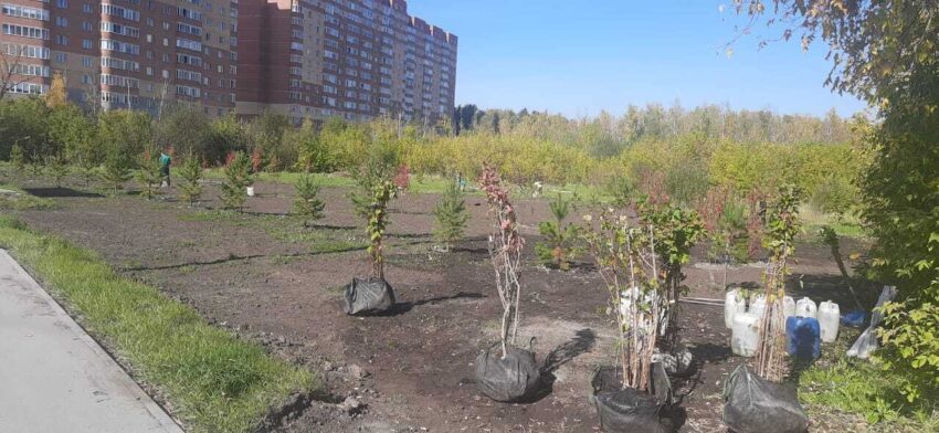 На Шлюзе озеленяют пустырь на Балтийской