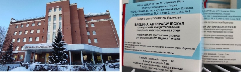 Молоко бешеной коровы и кровь лисы в глазу: хроники вспышки бешенства