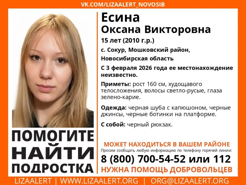 15-летняя Оксана Есина пропала в новосибирском селе Сокур