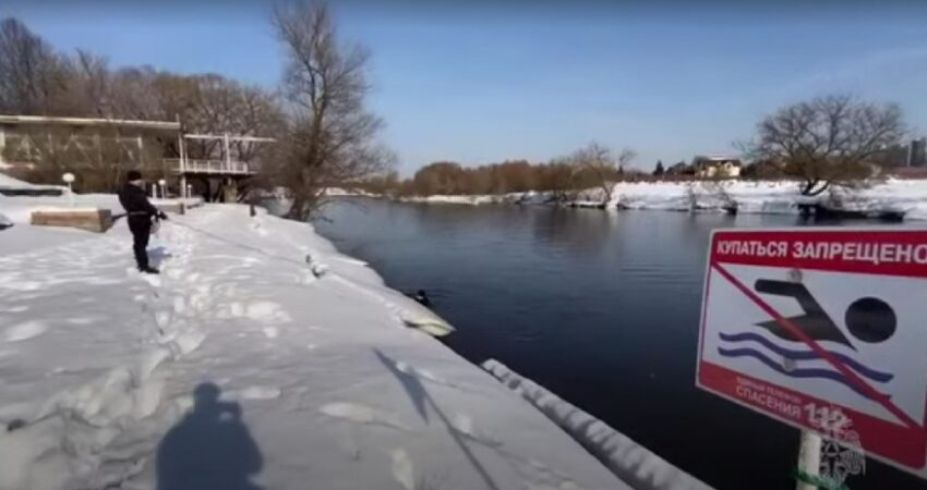 Найдено тело третьего ребёнка: поиски детей в Звенигороде завершены