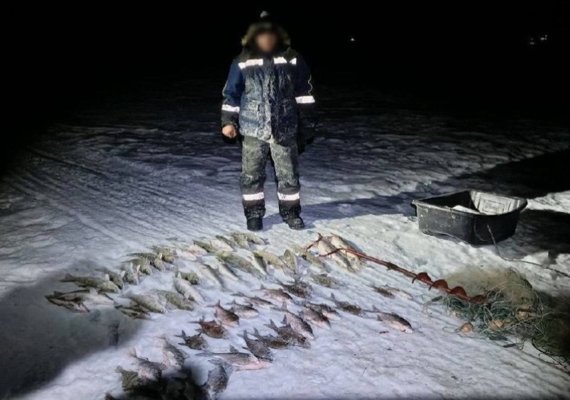 Браконьера осудят в Новосибирске за вылов из водохранилища 69 рыб