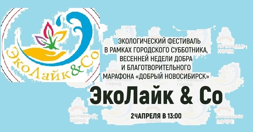 «ЭкоЛайк» вновь соберёт активистов на набережной Новосибирской ГЭС