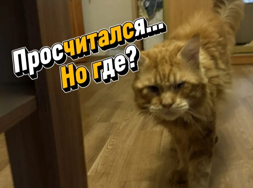 спасатели