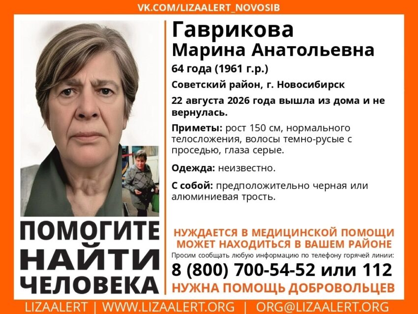 &laquo;ЛизаАлерт - Новосибирск&raquo;