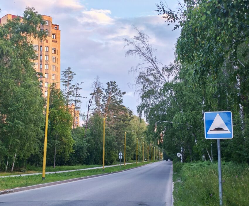 аварийные деревья